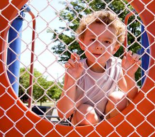 mesh fence