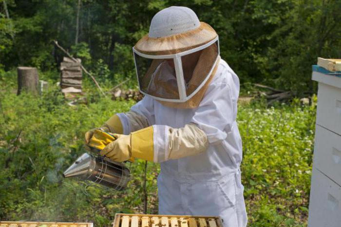 методы обработки пчел щавелевой кислотой
