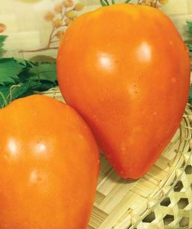 томат оранжевое сердце