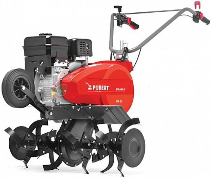 cultivator pubert