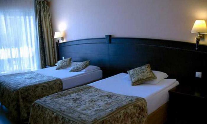 selge hotel 3 турция отзывы 