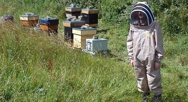 Пчеловоды Сибири