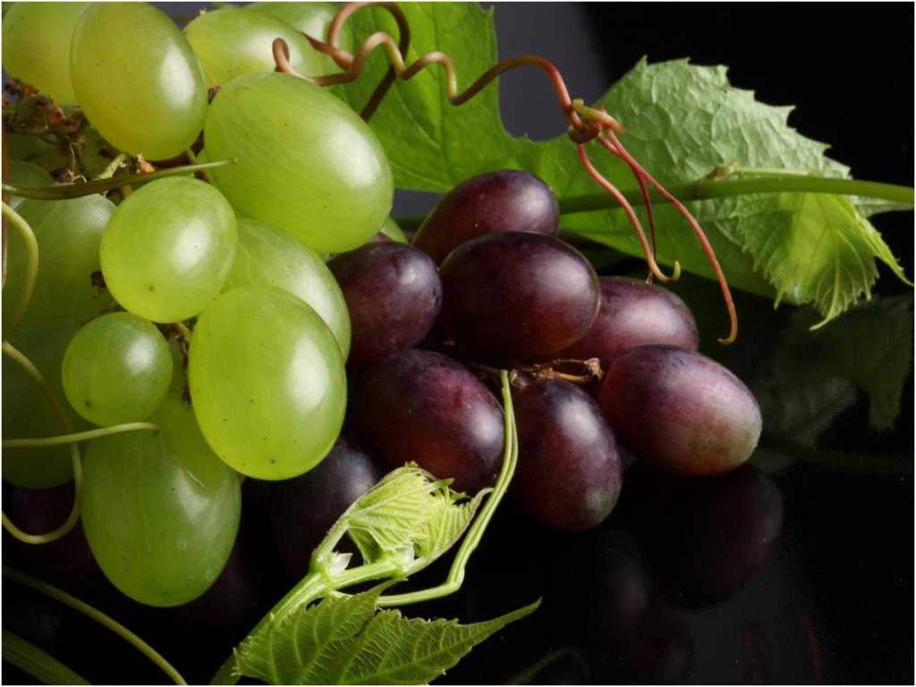 Выращивание сверхраннего винограда