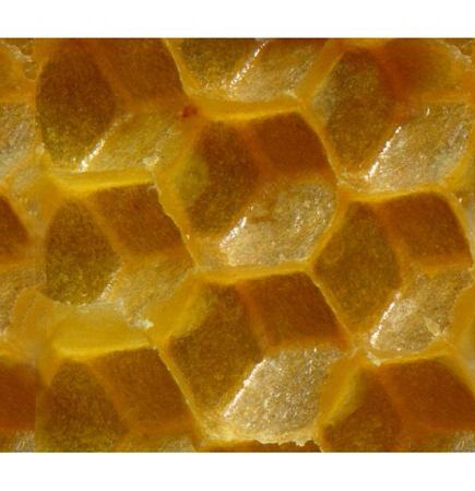 польза пчелиного воска