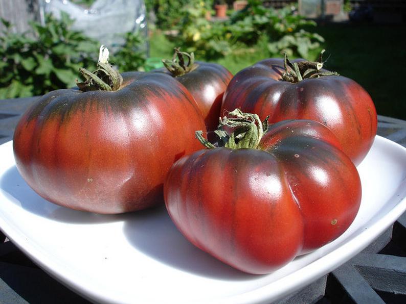 Черные помидоры сорта название фотографии