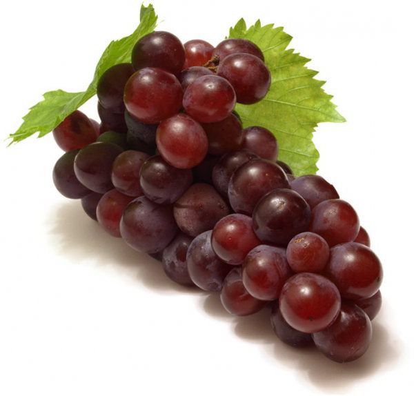 обработка винограда осенью от болезней 