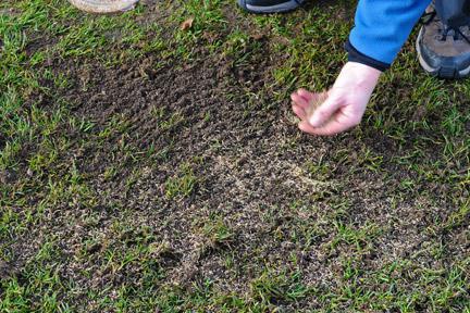 stages of preparing the lawn for winter