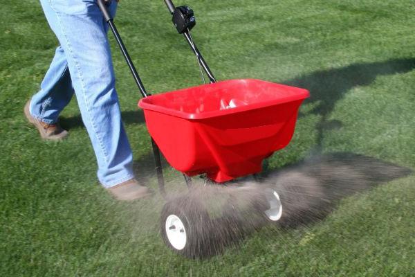 lawn care in the fall or preparing the lawn for winter