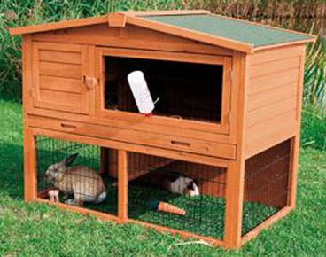 rabbits breeding and cage maintenance