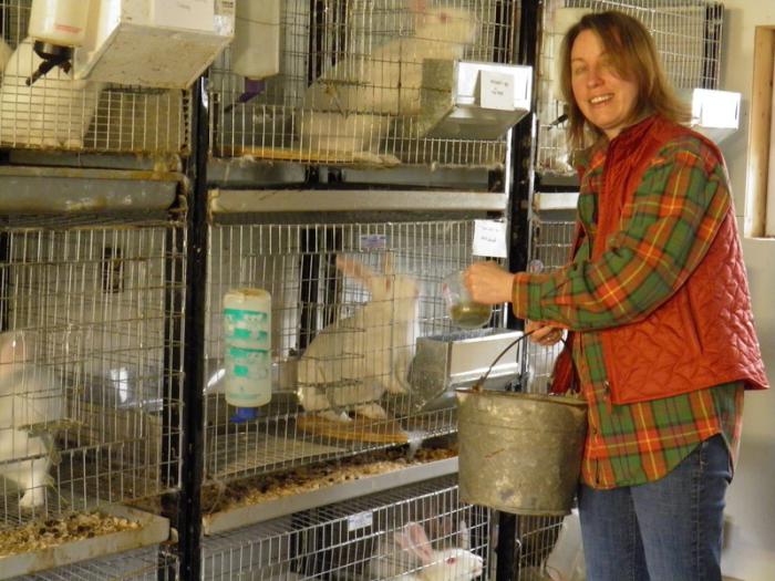 keeping rabbits in winter in cages