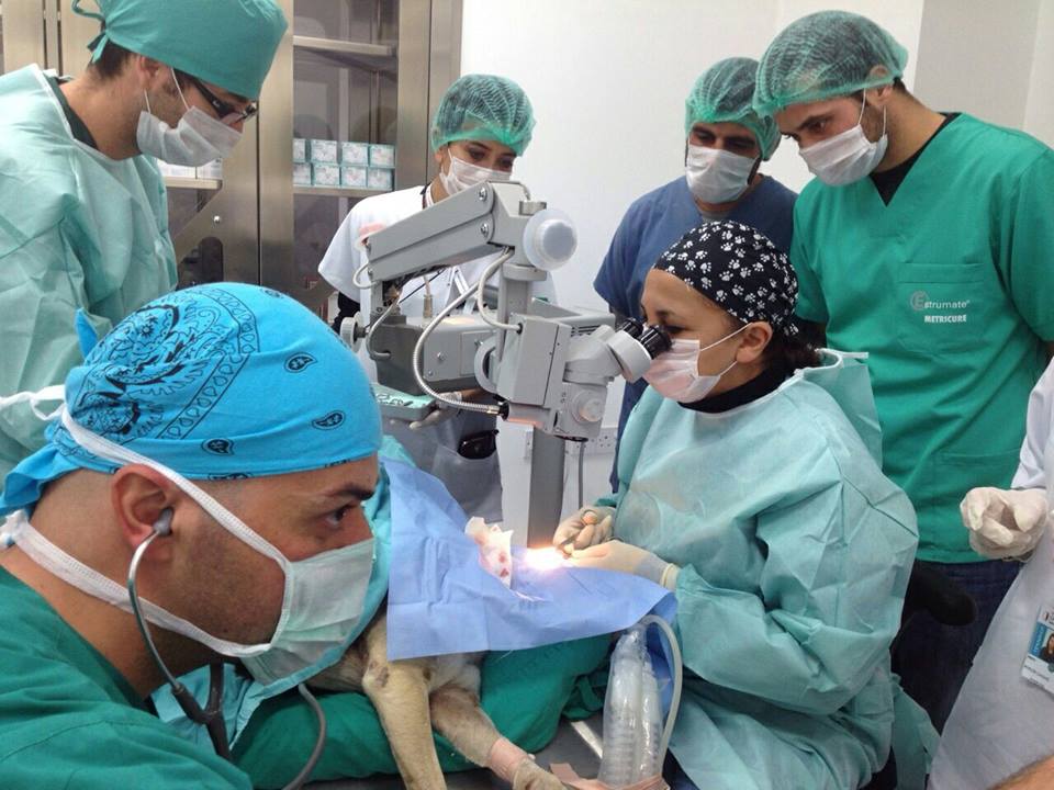 Анестезиолог необходим при проведении большинства операций