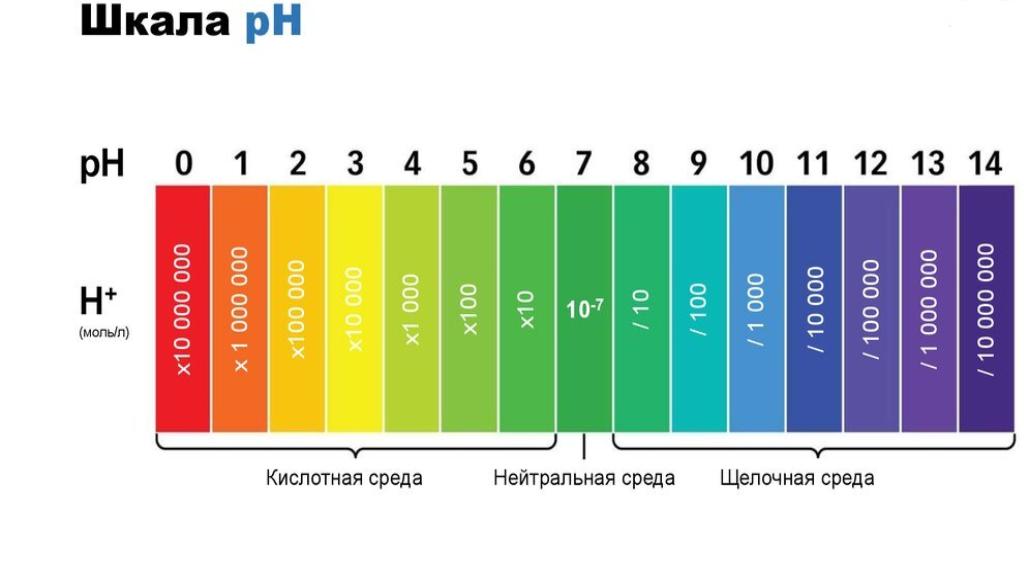 степень гидролиза