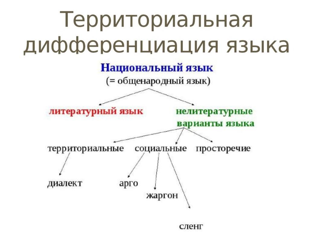 социальная дифференциация языка