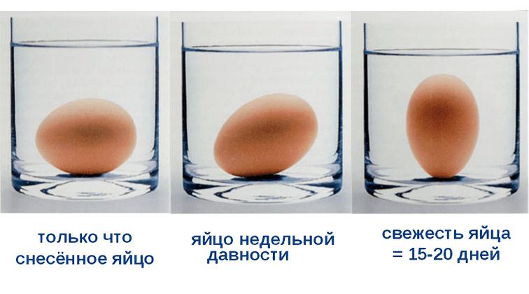 яйцо всплывает при варке