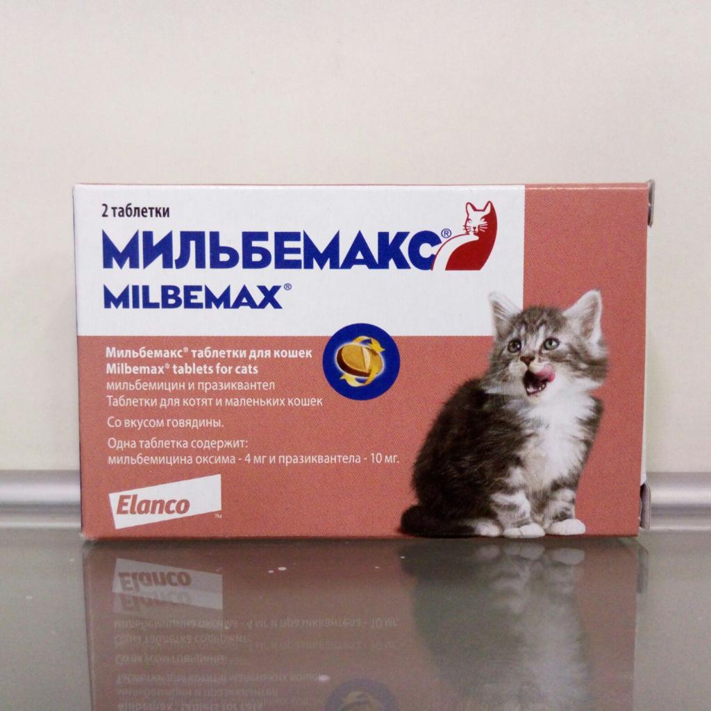 мильбемакс для котят