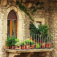 what flowers to grow on the balcony