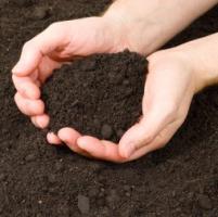 почва состоит из фаз 