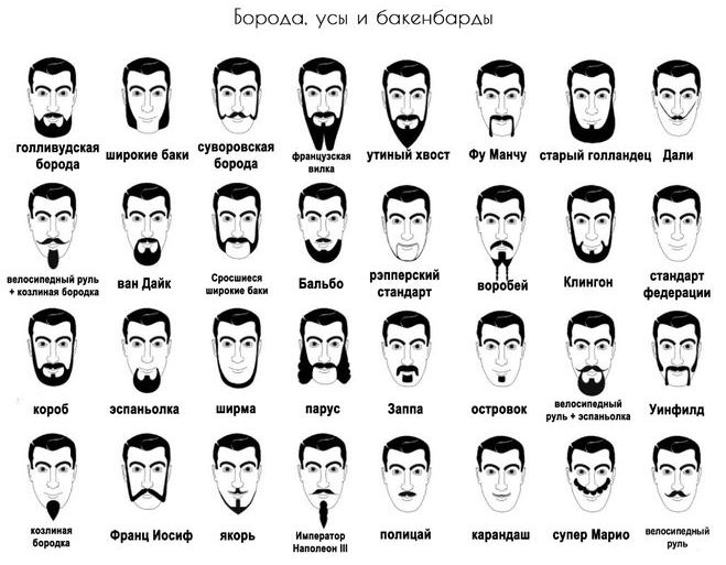 Мода на бороду: модные тенденции, фото, советы по уходу