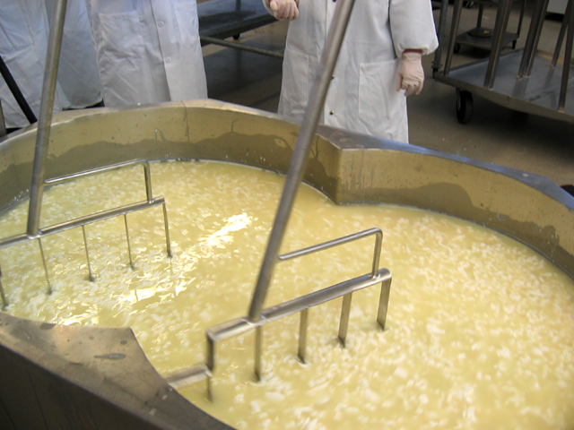 Производство сыра чеддер