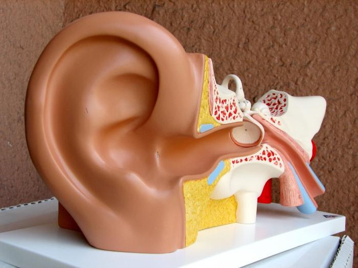 лечение ушей
