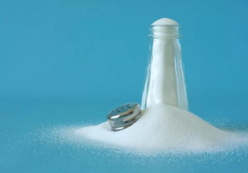 salt free diet reviews