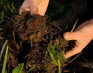 determination of soil density