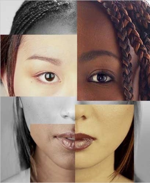 Anthropological types by race