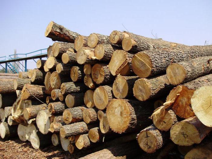 ресурсы древесные 