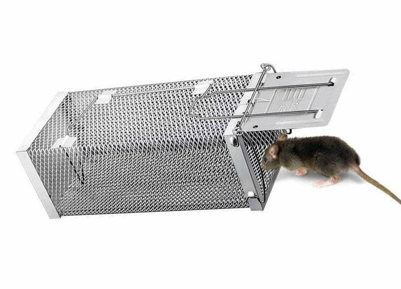 как избавиться от крыс в доме