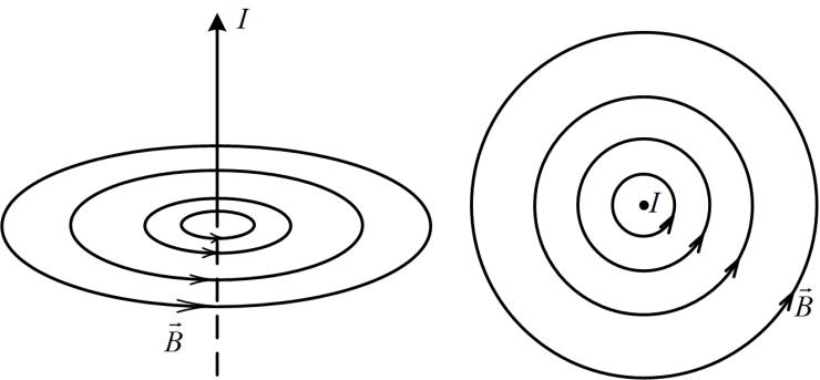 Графическое изображение магнитного поля проводника с током. Магнитное поле прямого проводника с током рисунок. Магнитное поле прямолинейного проводника с током рисунок.