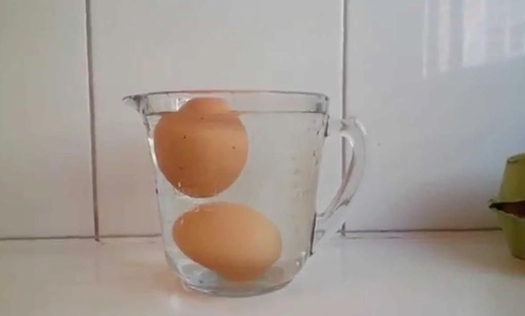 как понять свежее яйцо или нет