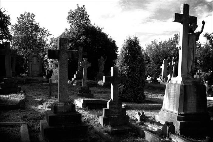 сон кладбище могилы
