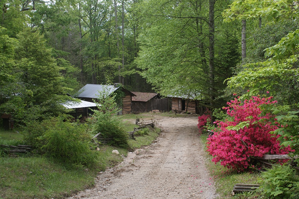 Spring in Georgia