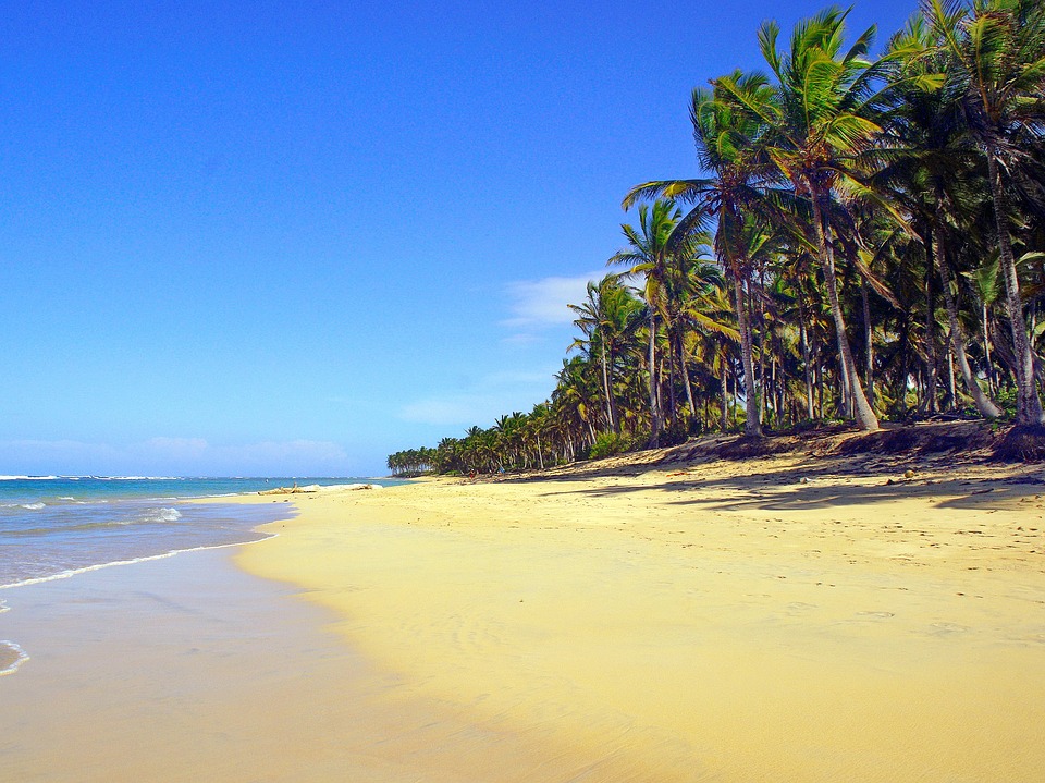 Beach on the Caribbean (Punta Cana)