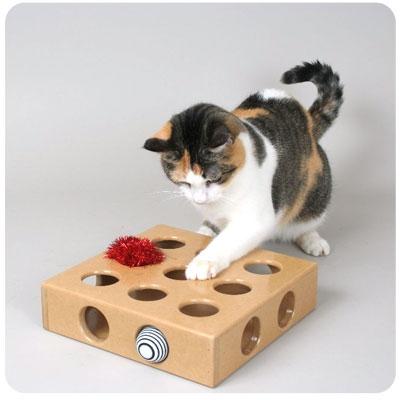 идеи игрушек для кошки