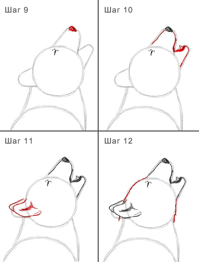 Как реалистично нарисовать волка 9-12
