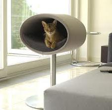 beds for cats photo