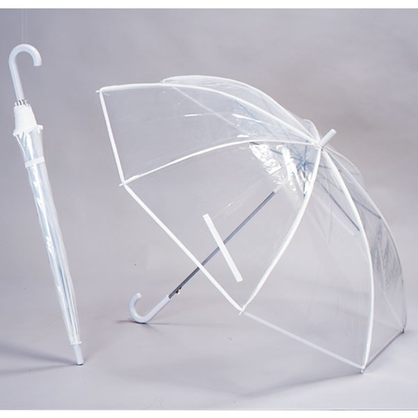 transparent umbrellas