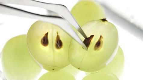 the benefits and harms of grape seed