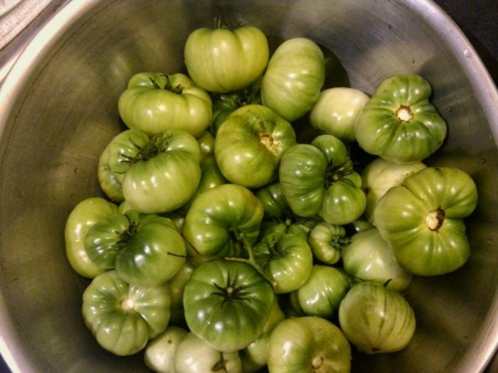 вкусный рецепт засолки зеленых помидор