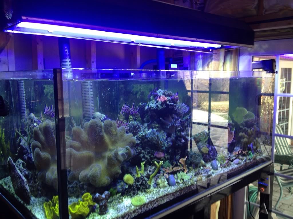 Стеклянный прямоугольный аквариум наполнен водой. Стекло для аквариума. Силикатное стекло для аквариума. Калькулятор аквариумных рыбок. Силикатный аквариум.