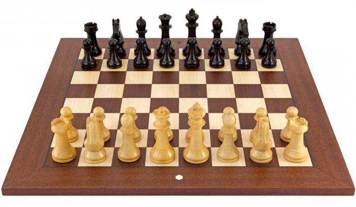 сицилианская защита шахматы