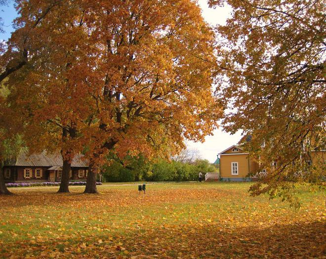 tarhany penza region photo