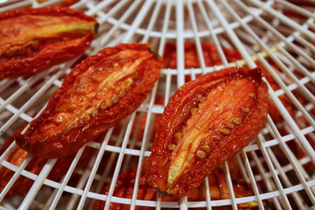 sun-dried tomatoes in the dryer