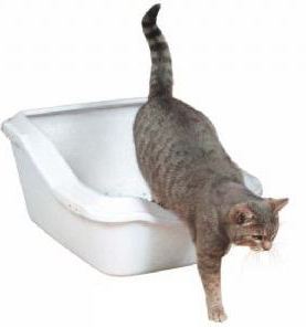 силикагель для кошачьего туалета 