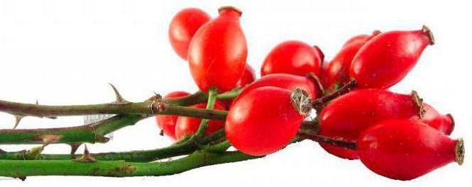 rosehip oil for the skin around the eyes reviews