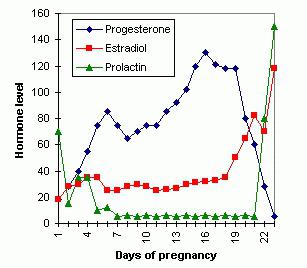 норма прогестерона при беременности по неделям таблица