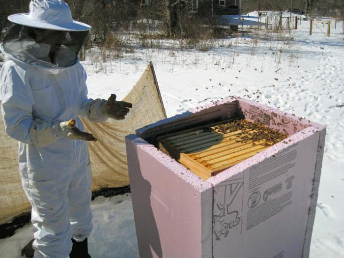 Как укрыть пчел на зиму на улице