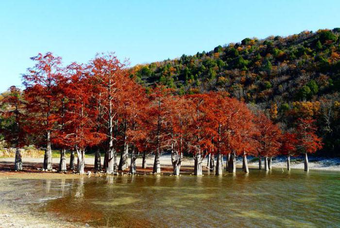 Сукко краснодарский край фото кипарисовое озеро