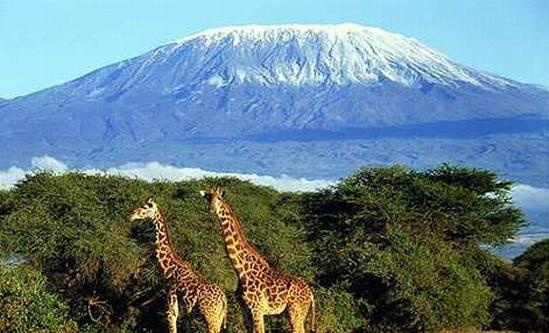 действующие вулканы Африки